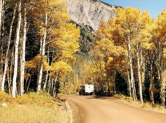 image 2026 02 20T074518.261 (1)